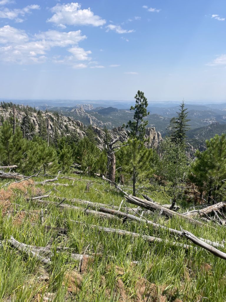 Black hills from overview