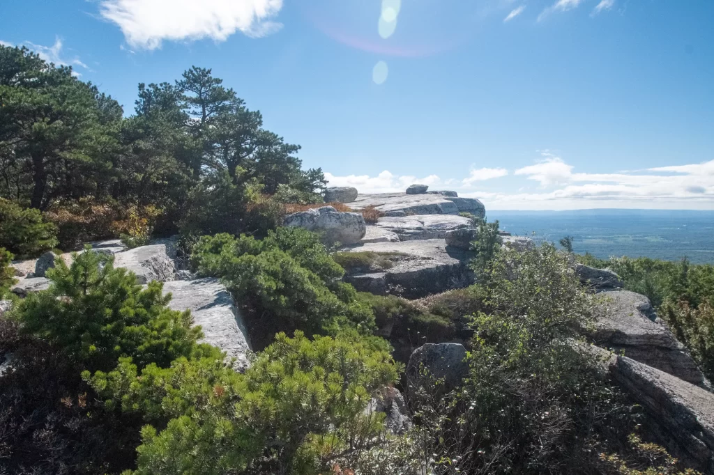 trees on rocky outcrops in hudson valley