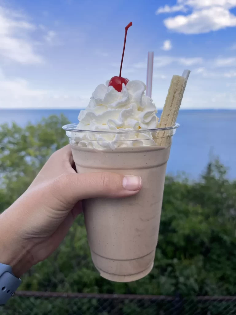 hand holding a malted chocolate milkshake with whip cream and a cherry on top