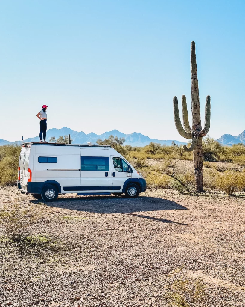 girl standing on a van next to a saguaro cactus on BLM land