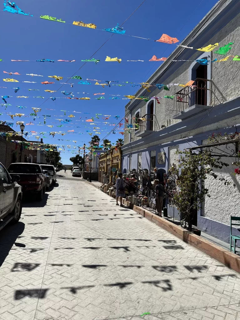 colorful flag lined street todos santos
