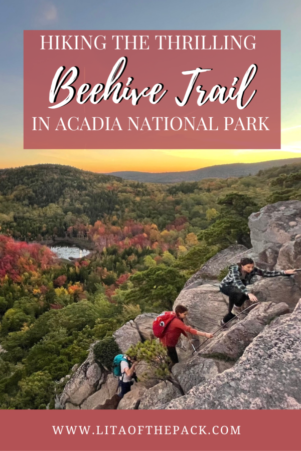 A Thrilling Climb: The Beehive Trail Acadia National Park