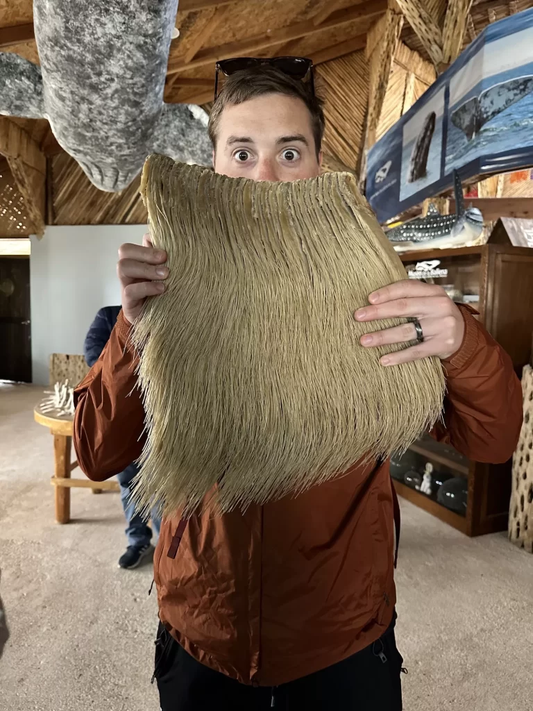 boy holding up the baleen of the whale
