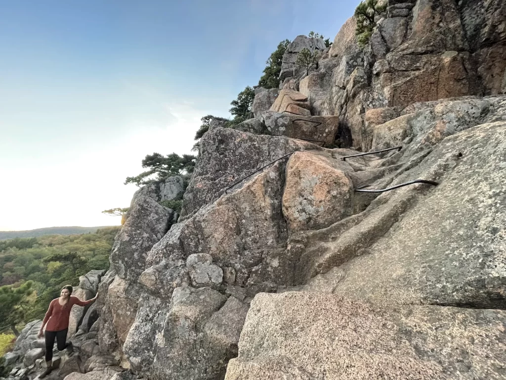 rungs curving over rocks on beehive