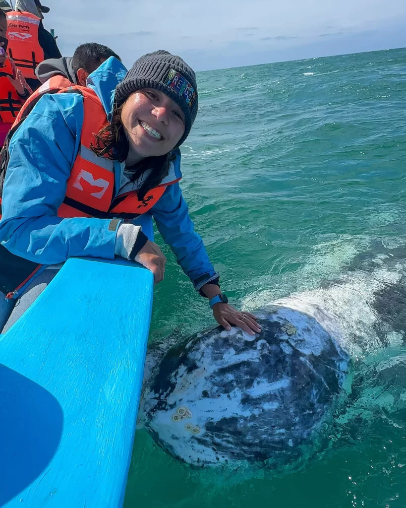 girl smiling while petting a gray whale