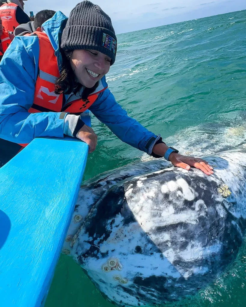 girl petting gray whale in ojo de liebre