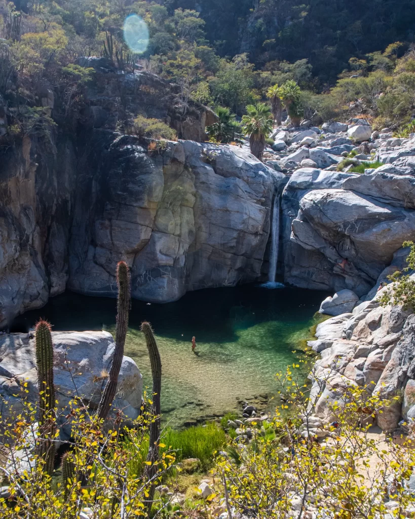 Fox canyon with cacti in front and view from above