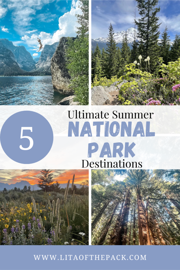 four pics of national parks in summer, grand teton, mount rainier, redwoods