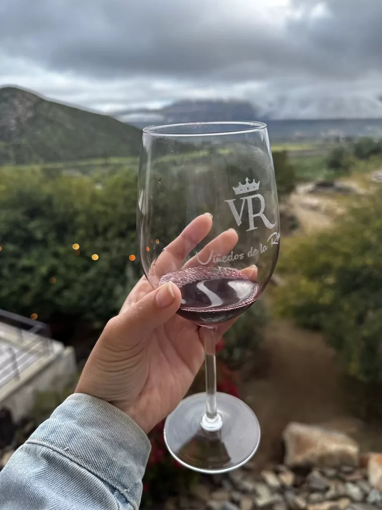 wine in valle de guadalupe