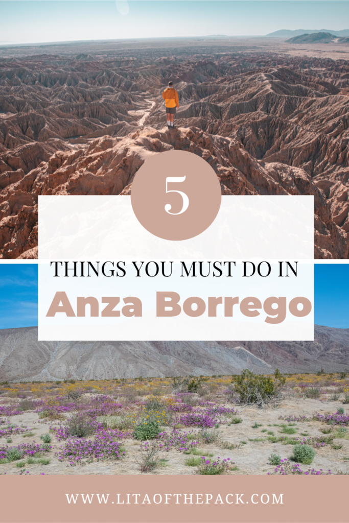 TWO LANDSCAPES OF ANZA BORREGO