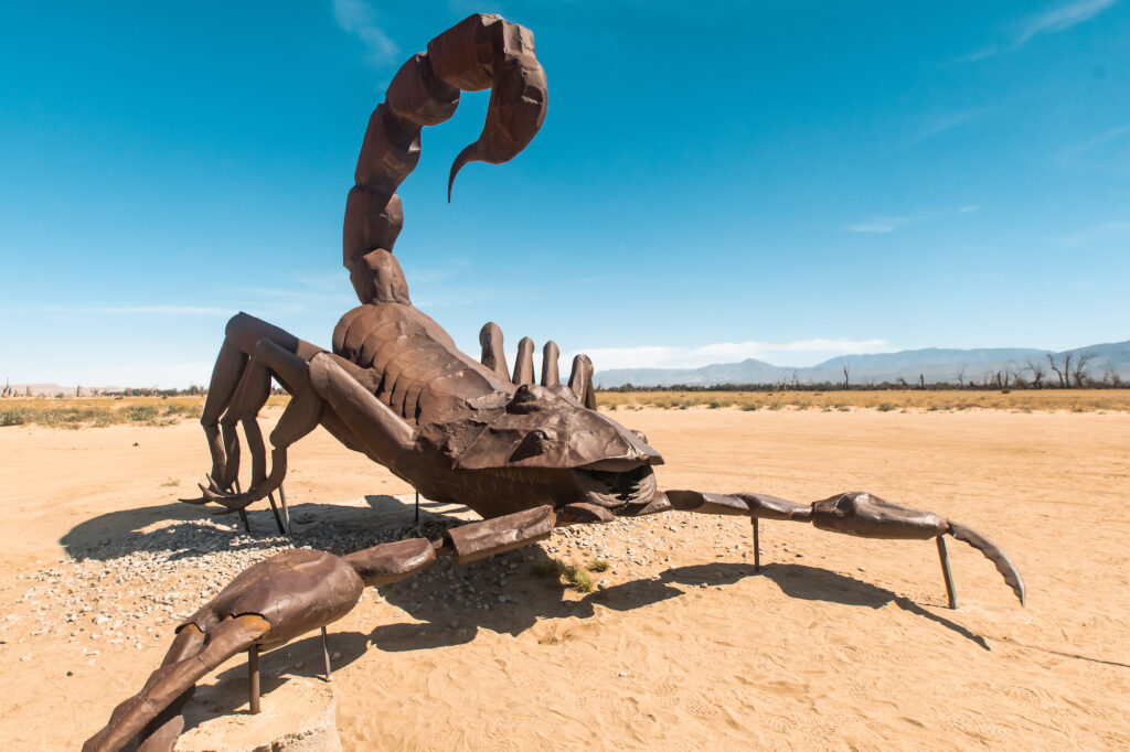 Scorpion Sculpture in Galleta Meadows