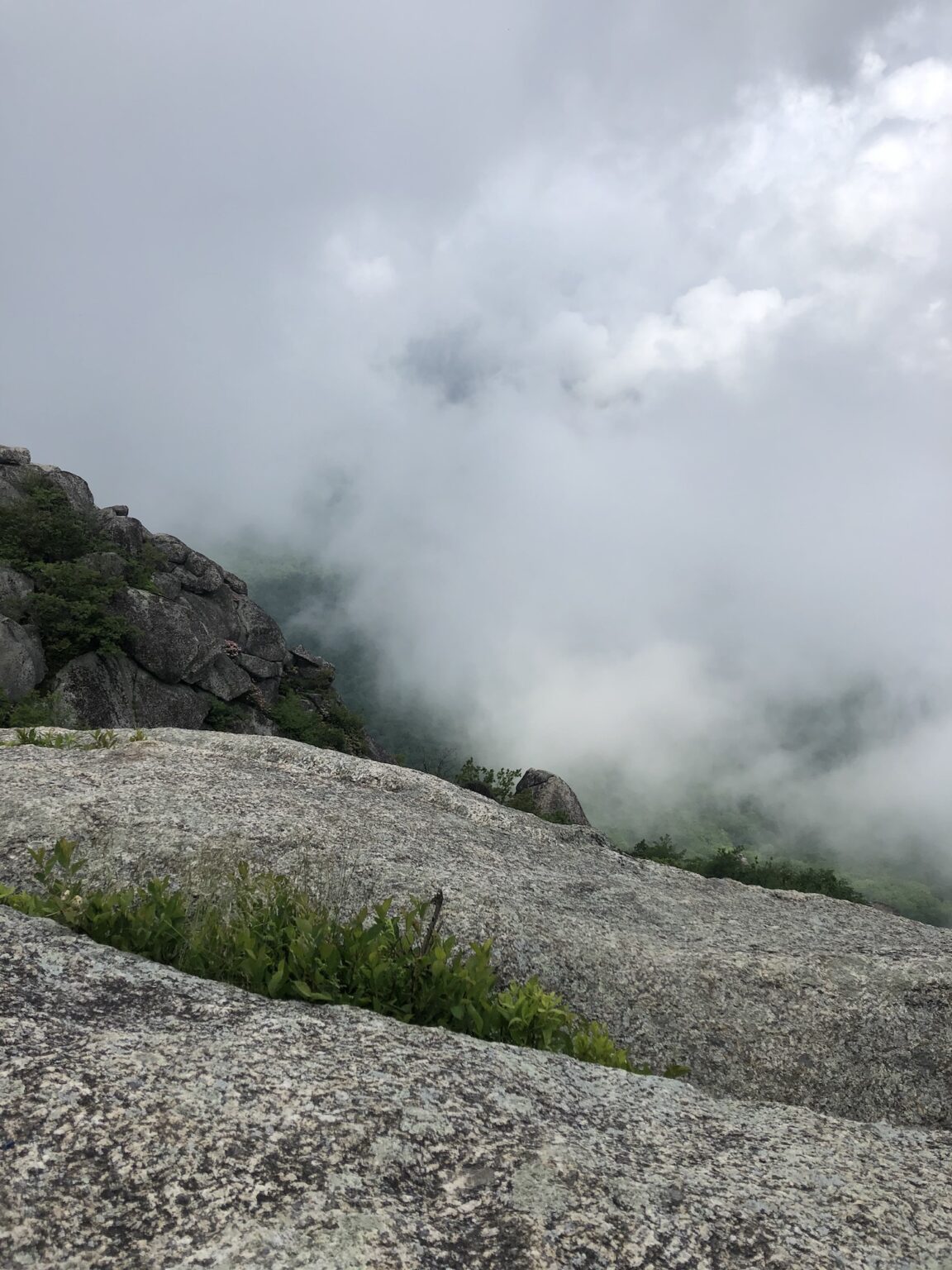 Ultimate Guide to Hiking Old Rag Mountain: Virginia's Best Hike