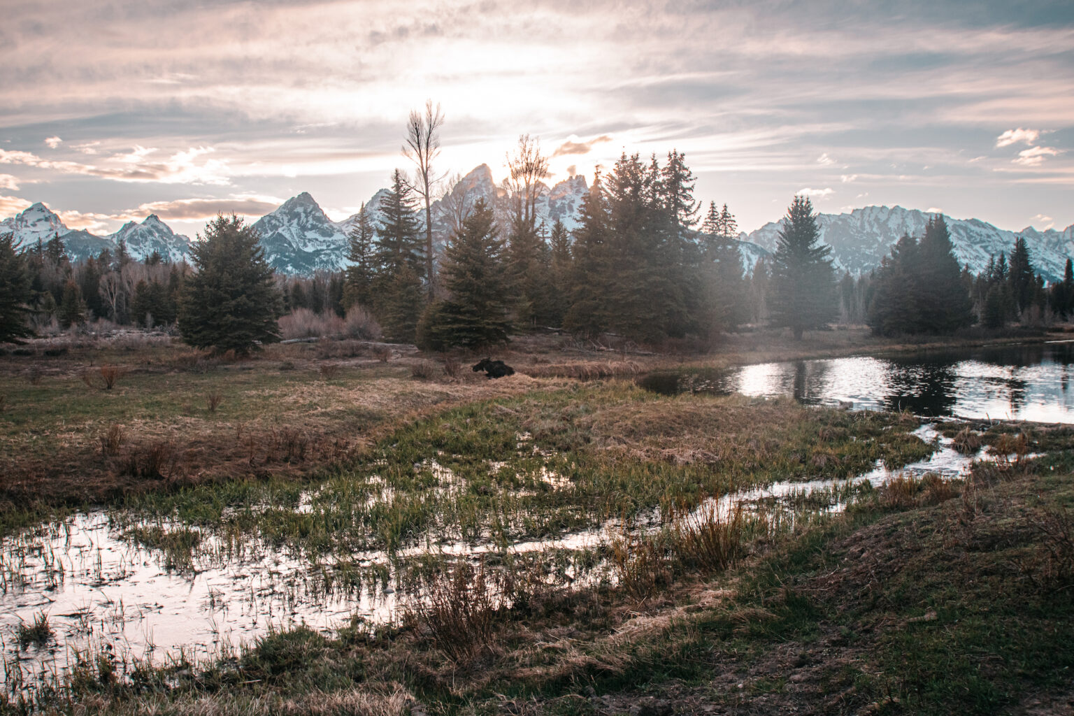 Guide to Visiting the Grand Tetons in May Lita of the Pack