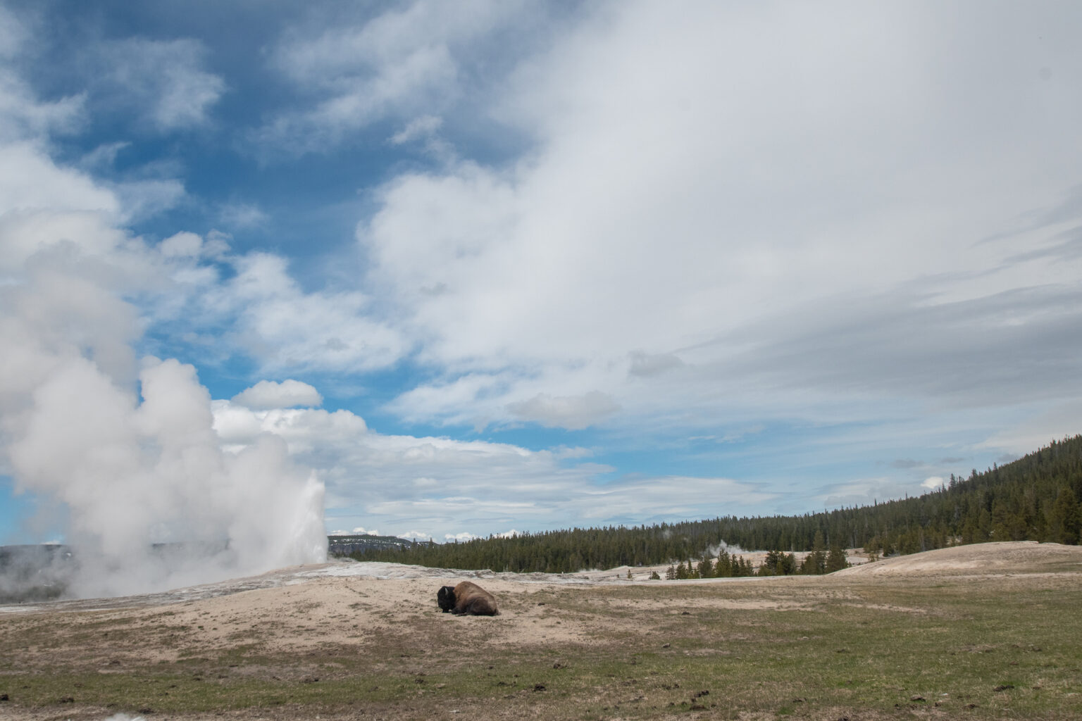 Ultimate Guide to Visiting Yellowstone in May Lita of the Pack