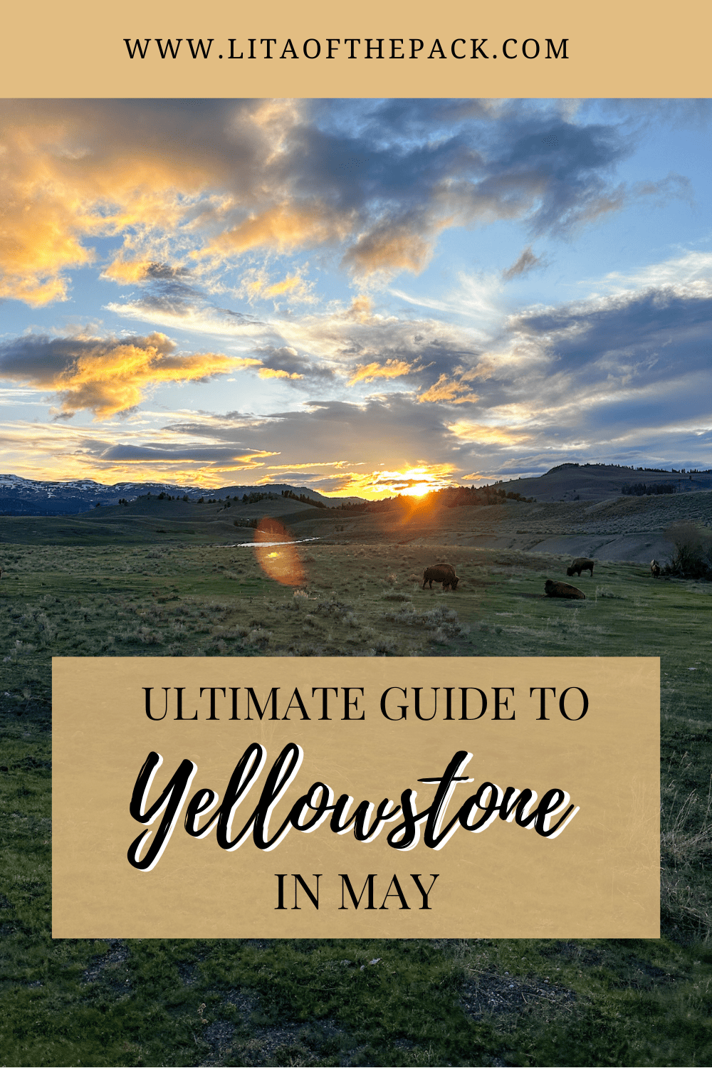 Ultimate Guide to Visiting Yellowstone in May Lita of the Pack