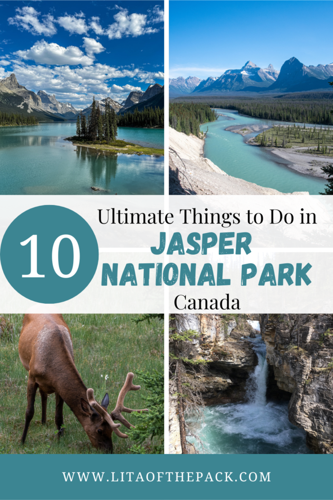 four pictures of things in jasper national park: maligne lake, icefields parkway, elk, and stanley falls