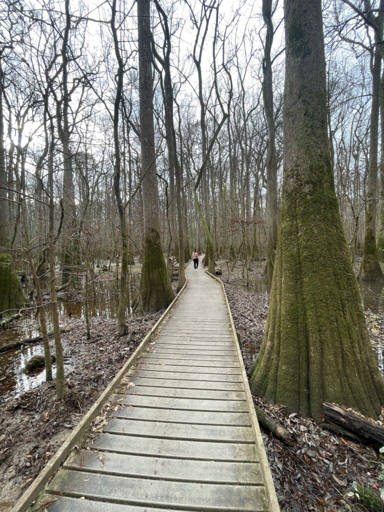 girl walking on a boardwalk with trees and swamps around her