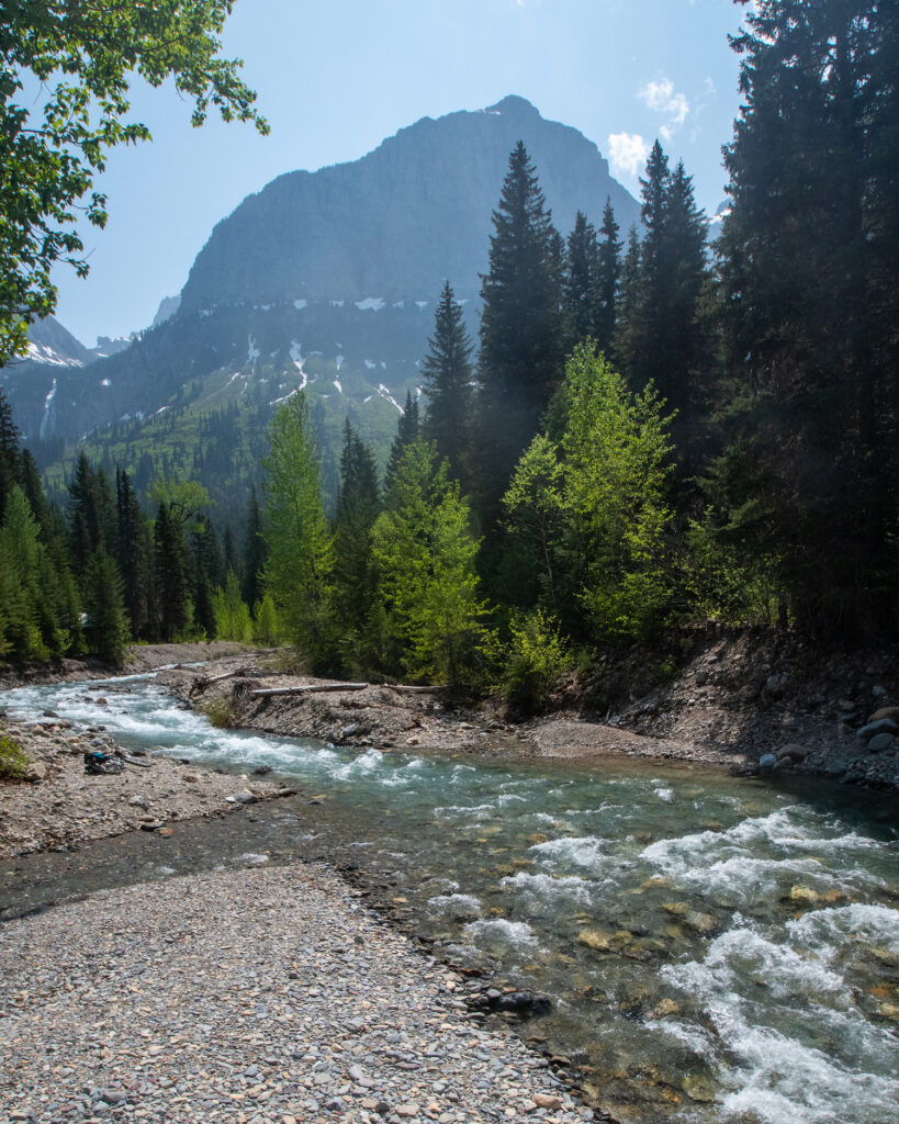 river rushing with mountains and trees behind