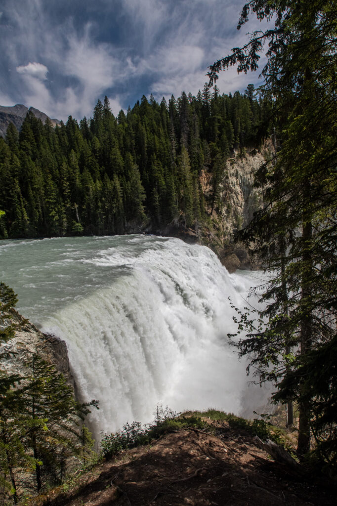 Wapta Falls gushing over a cliff with trees and mountains behind