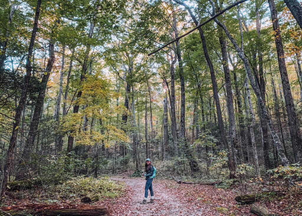 girl on a trail surrounded by trees that are yellow
