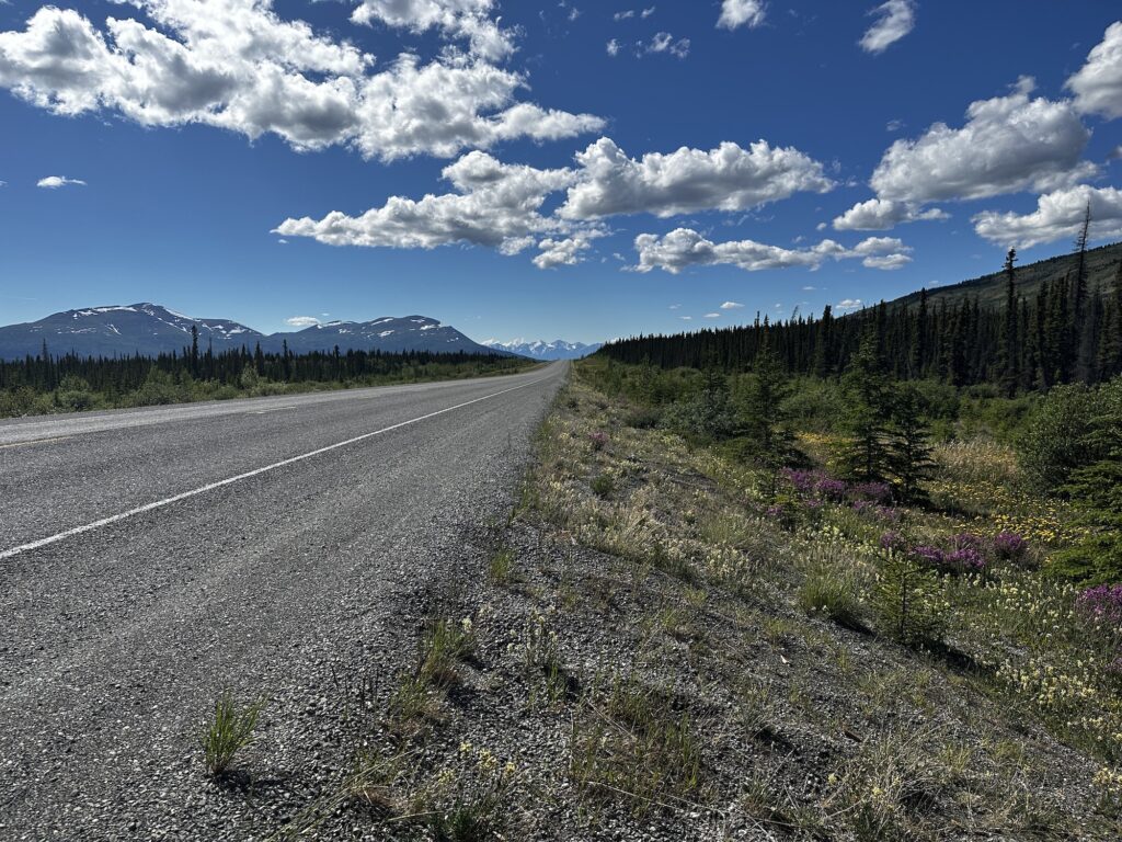 Views of wildflowers and mountains off the Alaska Highway