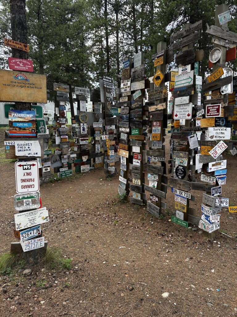 one part of the sign post forest
