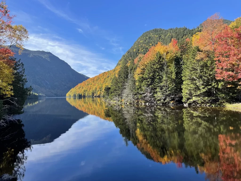 reflection of orange and yellow trees in water