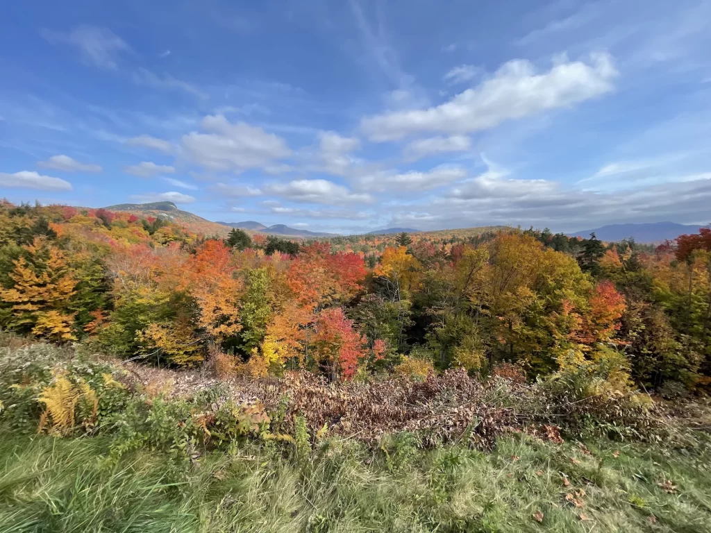 Colorful trees on the Kancamangus highway