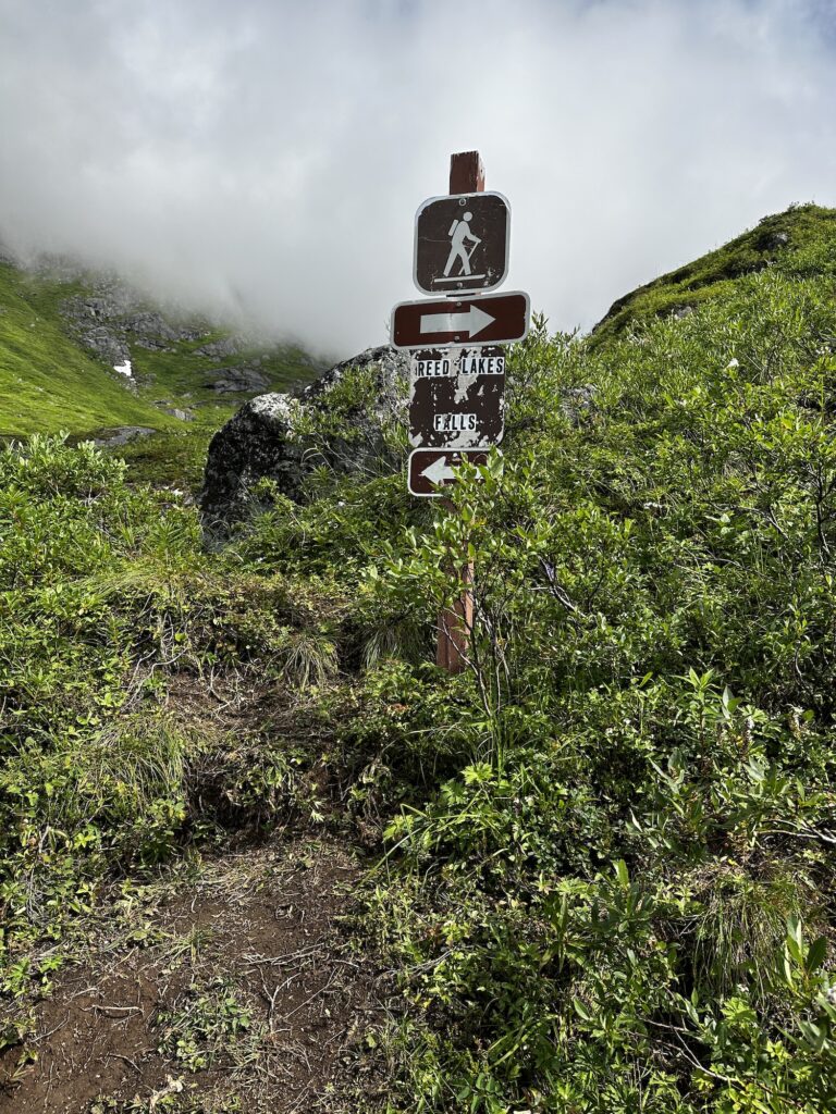 Lush Trail with Greenery and a sign for Reed Lakes