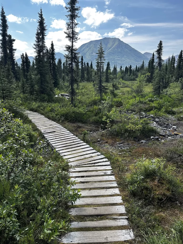 Boardwalked trail with a mountain above