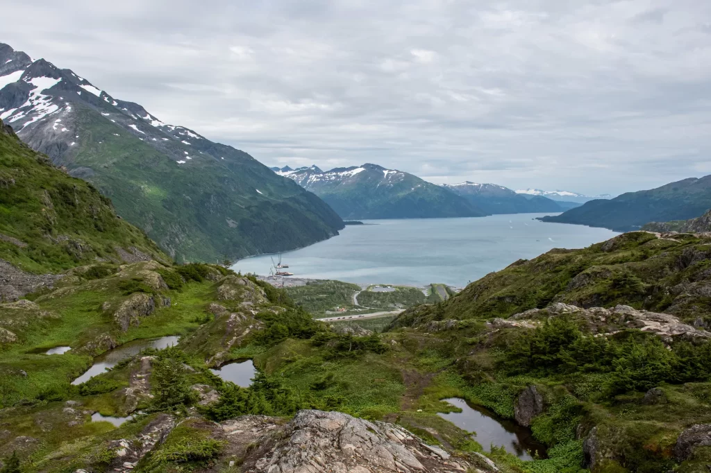 Prince William sound from above