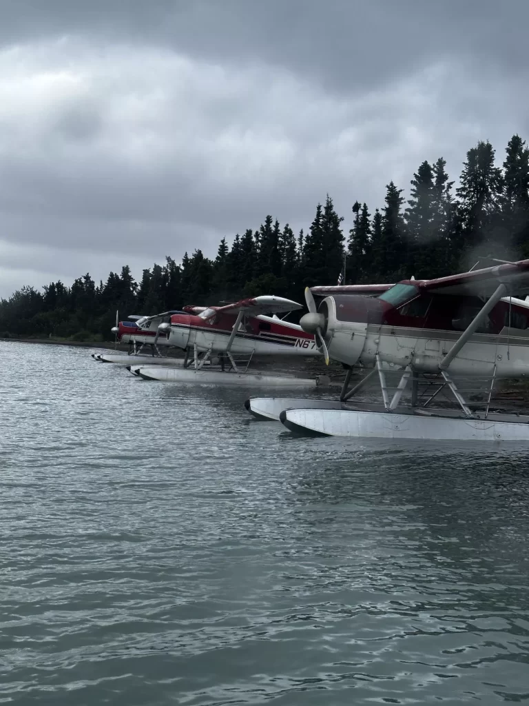 Float planes lined up in the water at Katmai National Park