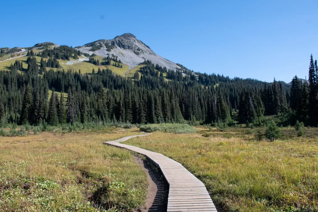 boardwalk trail through meadow with mountain behind