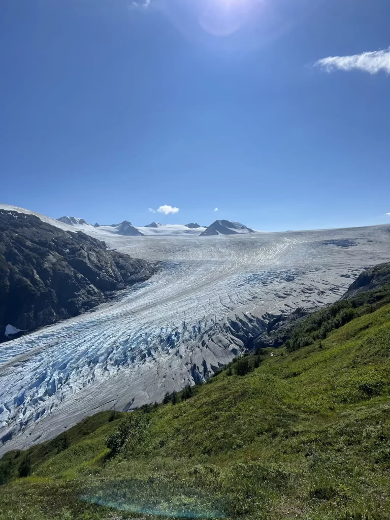 picture of exit glacier up close
