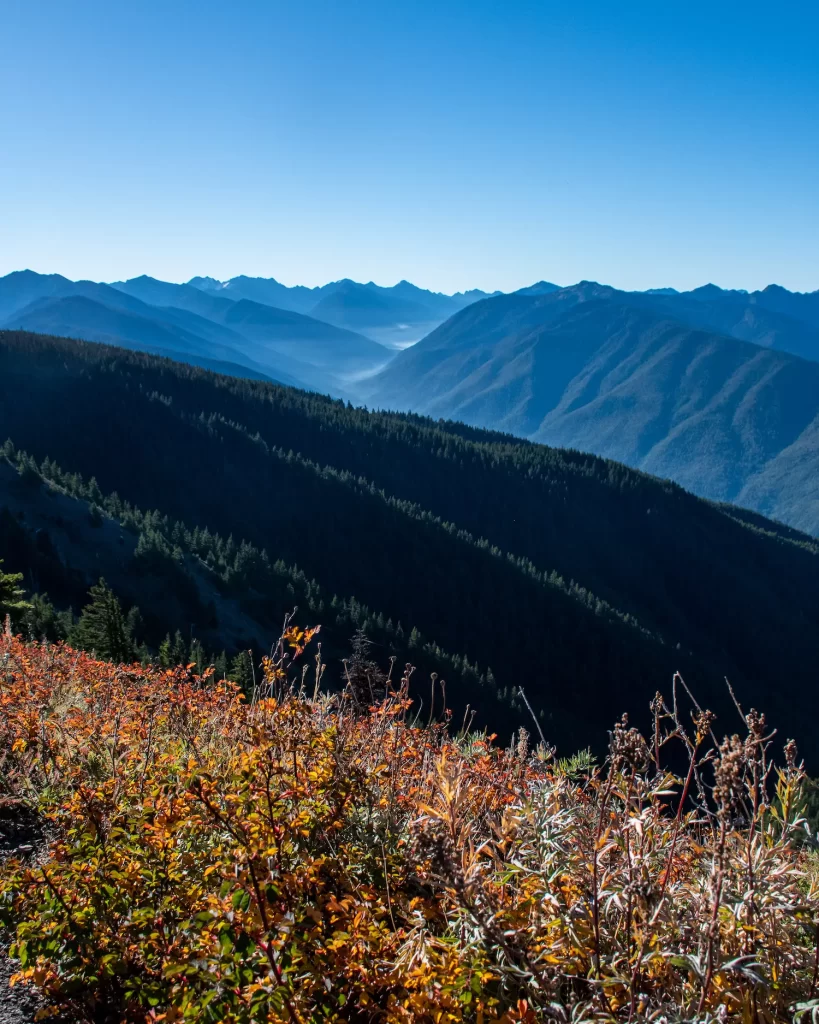 Mountains with fall colors in front 