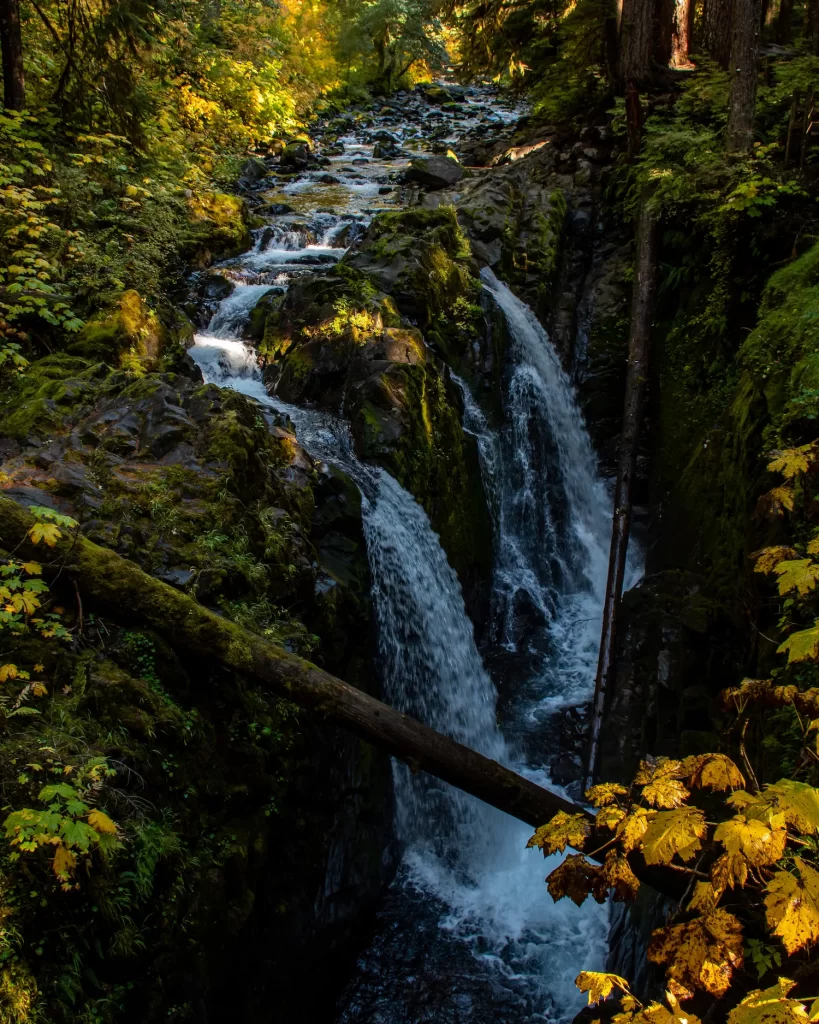 sol duc waterfalls in the forest