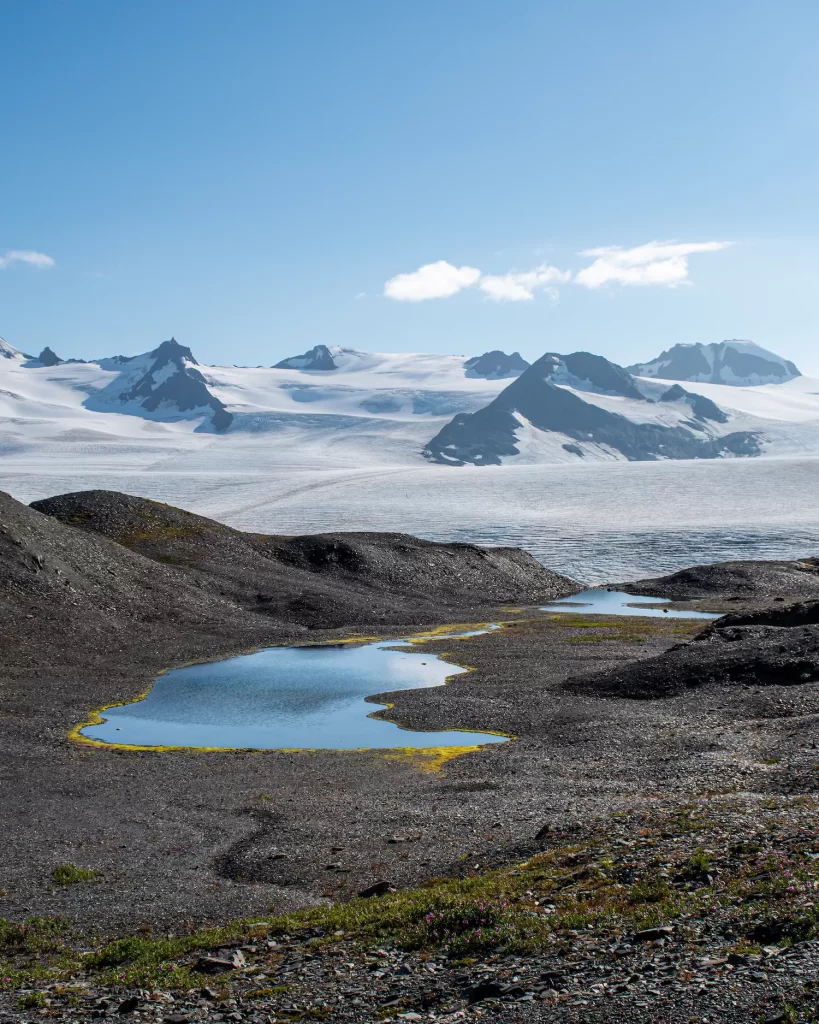 water at harding icefield