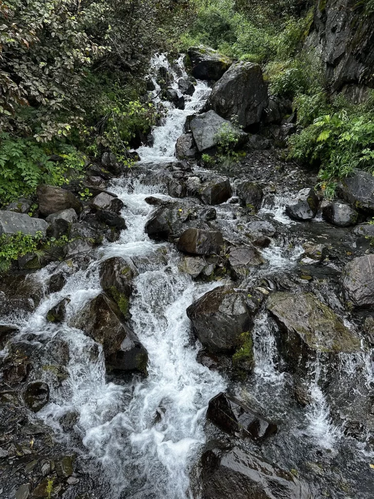Waterfall in a forest
