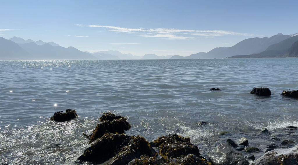 views of the kenai fjords with water
