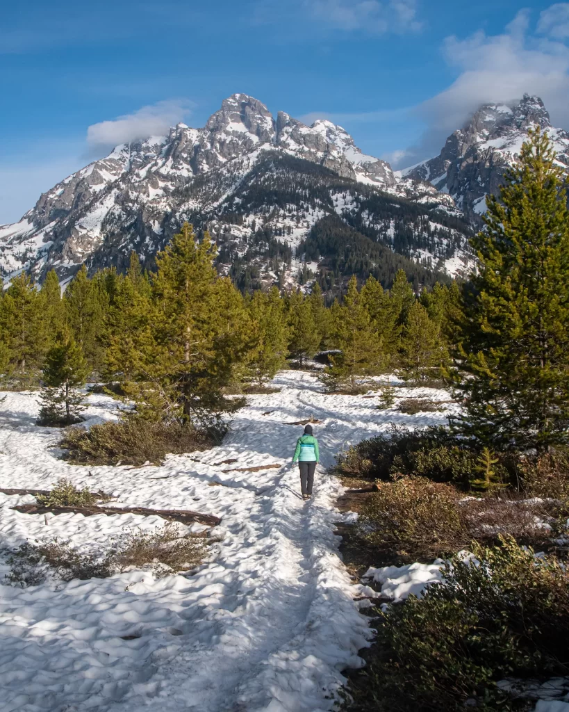 snow covered trail to bradley lake