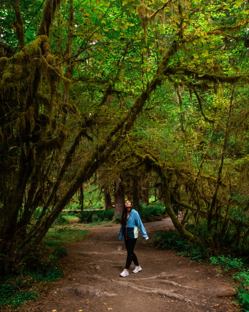 Girl walking under trees in Hoh rainforest