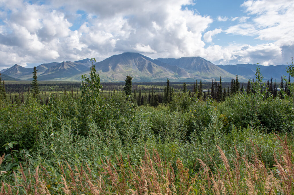 mountains with brush of greenery