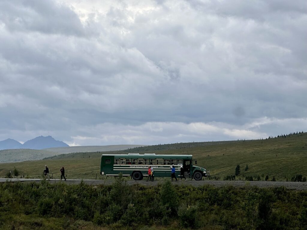 Green bus in wild landscape