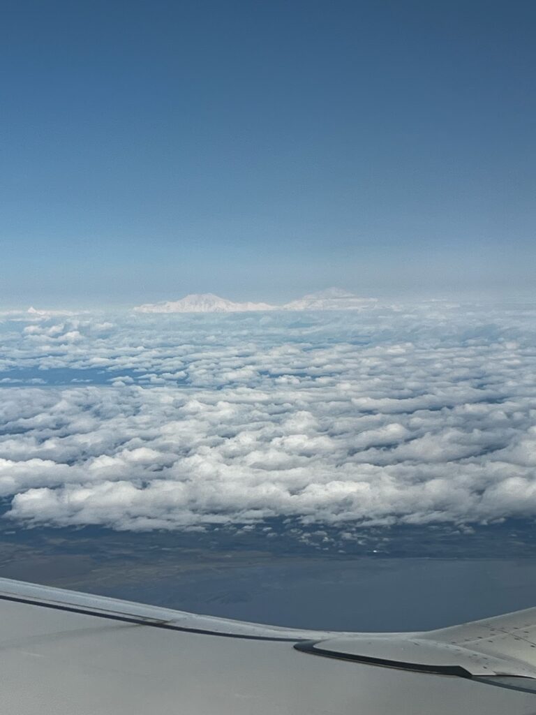 view of denali from a plane