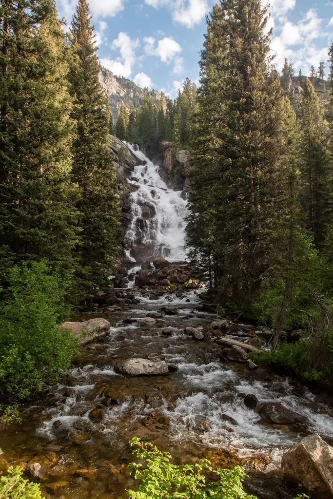 falls in a forest