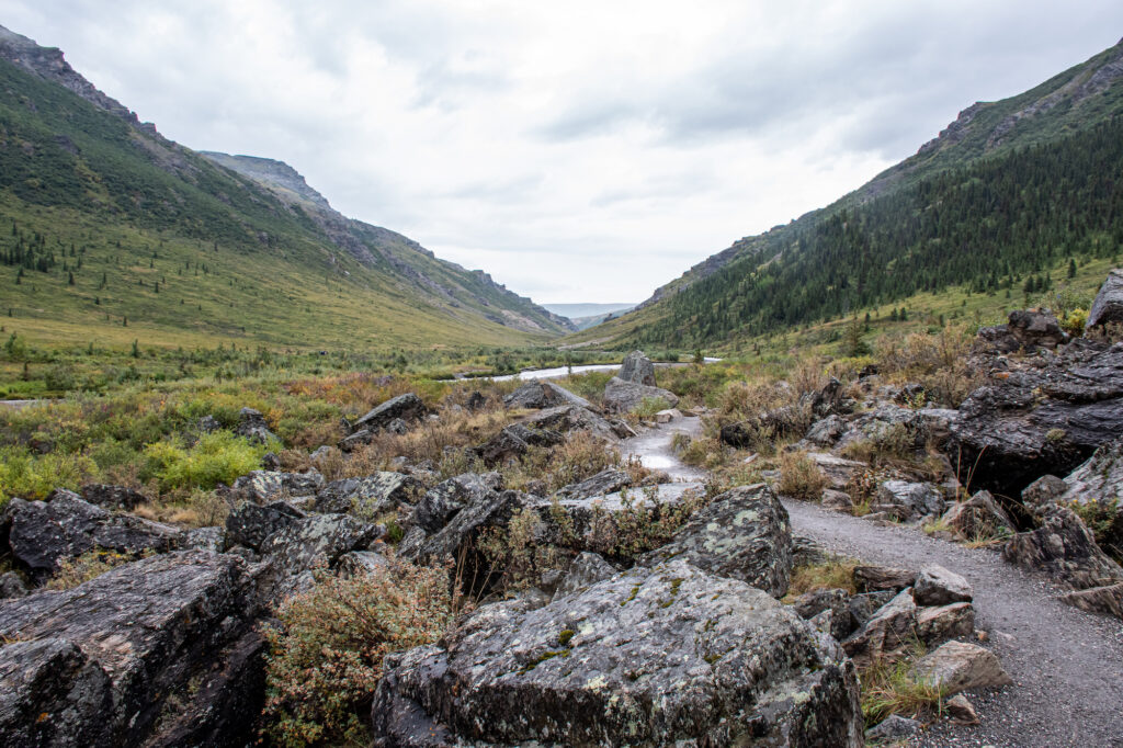 Backcountry with river