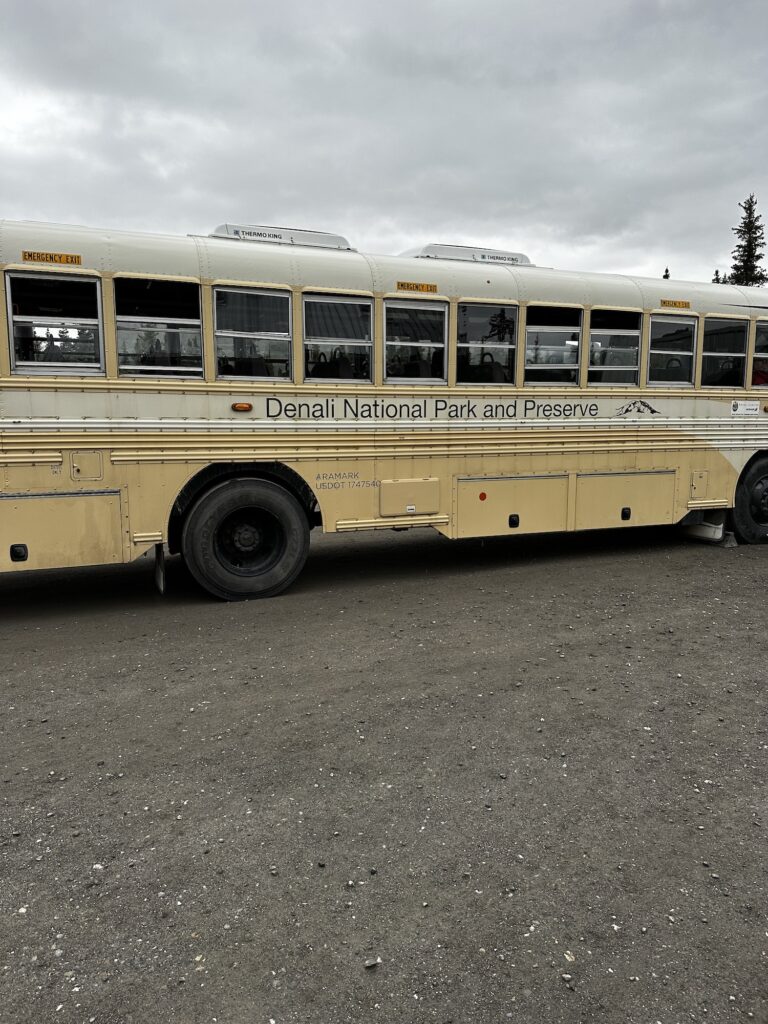 school bus