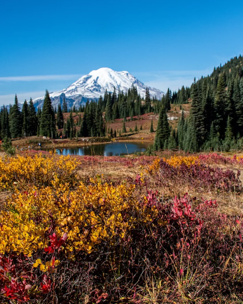 mount rainier with fall colors and water