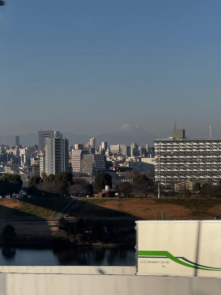 Mount Fuji above buildings