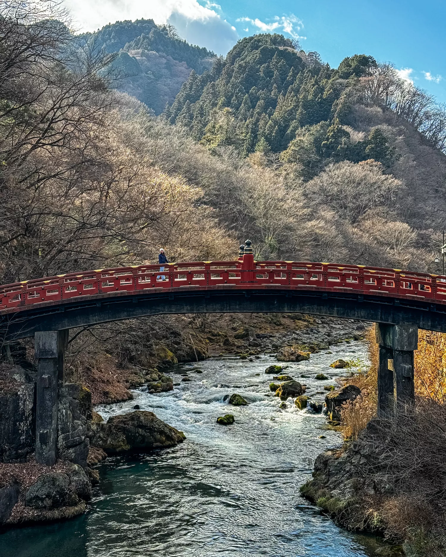 girl standing on a bridge over a river